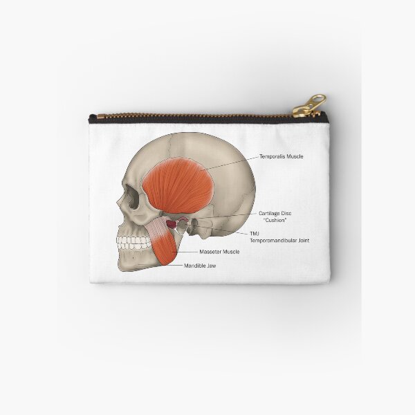 Item preview, Skull designed and sold by TIBOM.