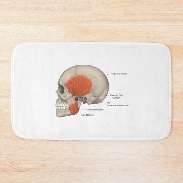 Item preview, Skull designed and sold by TIBOM.