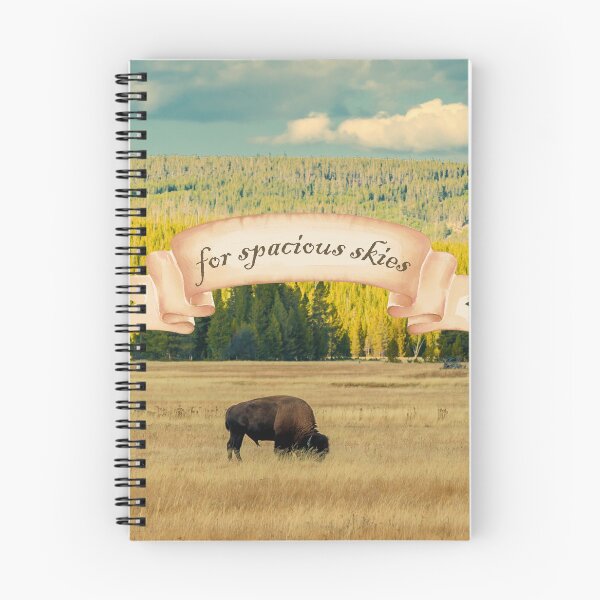 Item preview, Vintage-Inspired "For Spacious Skies" American Buffalo  designed and sold by CountyKent.