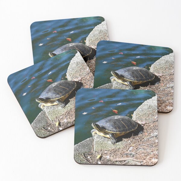 Item preview, Turtle  designed and sold by ErinCorePhoto.