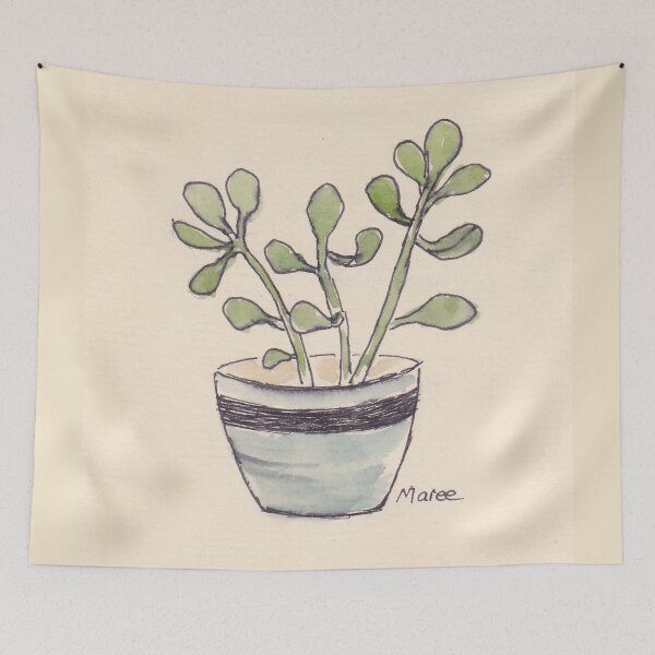 Item preview, Echeveria seedlings designed and sold by Maree Clarkson .