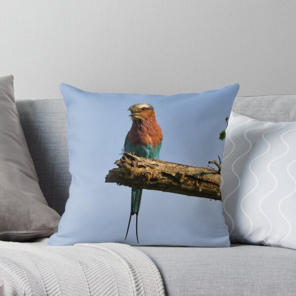 Item preview, Lilac Breasted Roller (Coracias caudatus) designed and sold by Deborah V Townsend.