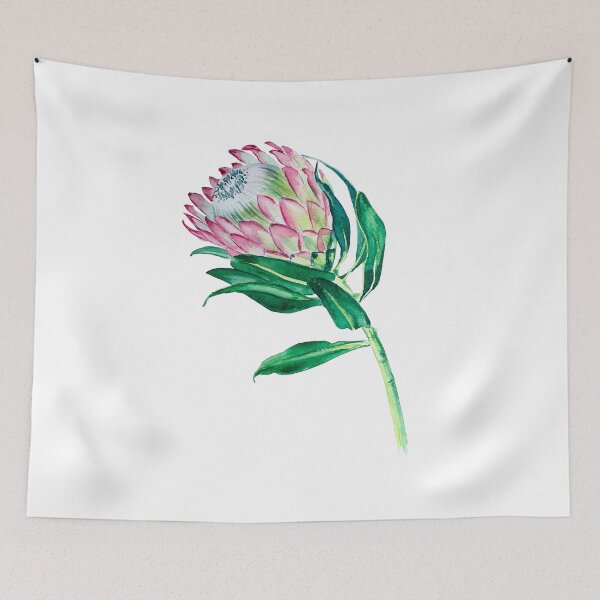 Aperçu de l'œuvre Illustration aquarelle de Protea fleur créée et vendue par LiliyaSavelieva.