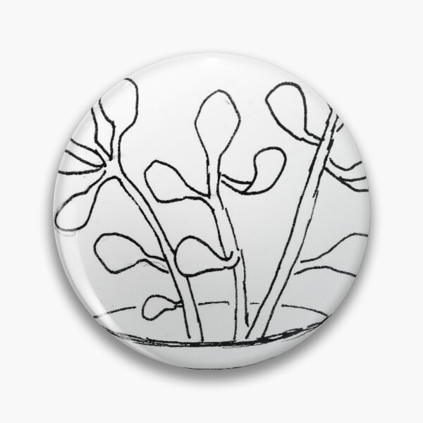 Item preview, Amor suculento (plántulas de Echeveria) designed and sold by Maree Clarkson .