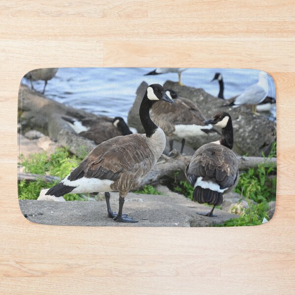 Item preview, seagulls on the sea geese and seagulls in water, designed and sold by GalynaLB.