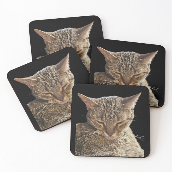Item preview, Sleepy Tootsie Cat designed and sold by SMILE by Kira.
