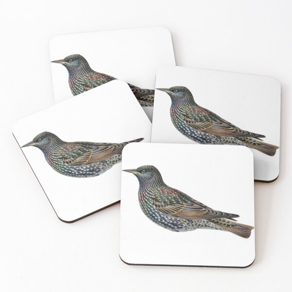 Item preview, Vintage Starling Illustration, Bird designed and sold by HawthorneFlame.