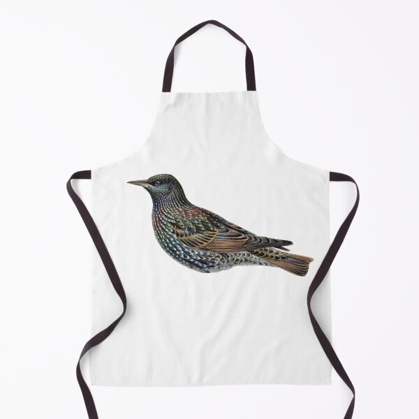 Item preview, Vintage Starling Illustration, Bird designed and sold by HawthorneFlame.