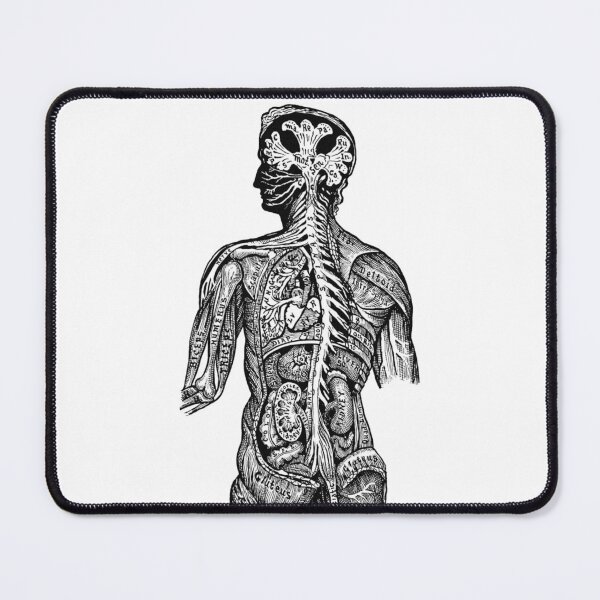 Item preview, Vintage Nervous System Medical drawing designed and sold by HawthorneFlame.