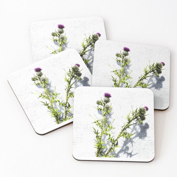 Item preview, Flower of Scotland, Graphic Thistle from original photograph, shot on the Isle of Skye designed and sold by Gmacamera Creations.
