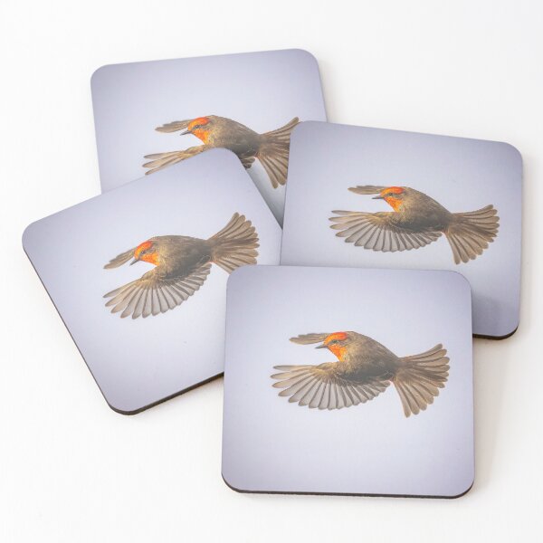 Item preview, Vermillion Flycatcher Pantanal Brazil designed and sold by PhotoArt by Joan Carroll.