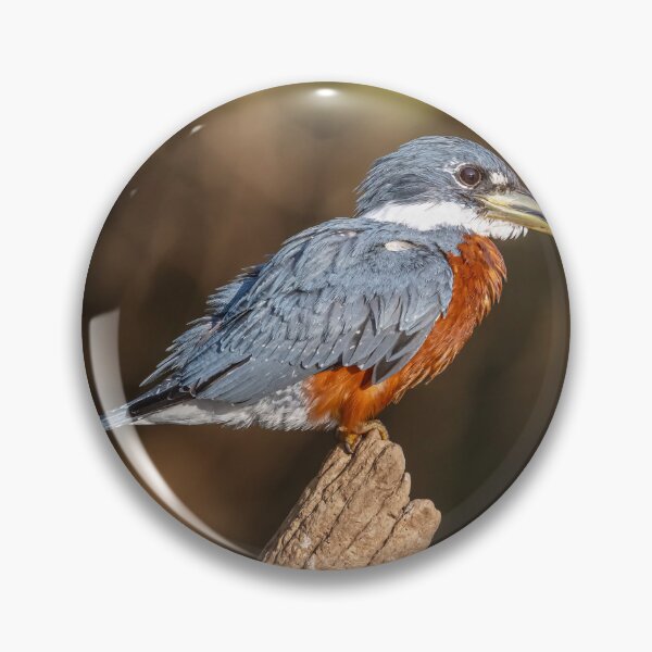 Item preview, Ringed Kingfisher Pantanal Brazil designed and sold by PhotoArt by Joan Carroll.