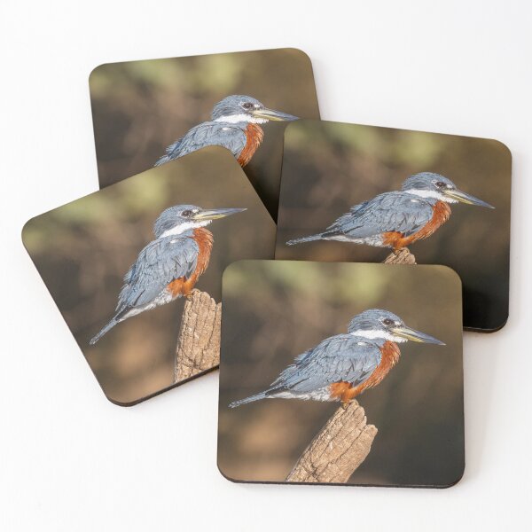 Item preview, Ringed Kingfisher Pantanal Brazil designed and sold by PhotoArt by Joan Carroll.