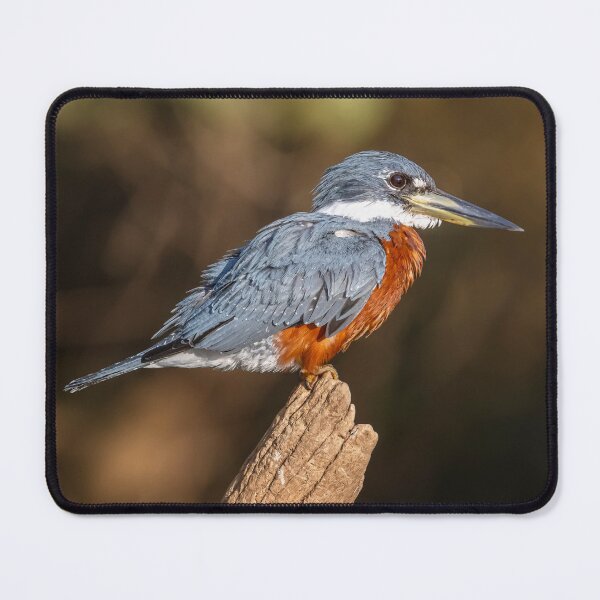 Item preview, Ringed Kingfisher Pantanal Brazil designed and sold by PhotoArt by Joan Carroll.