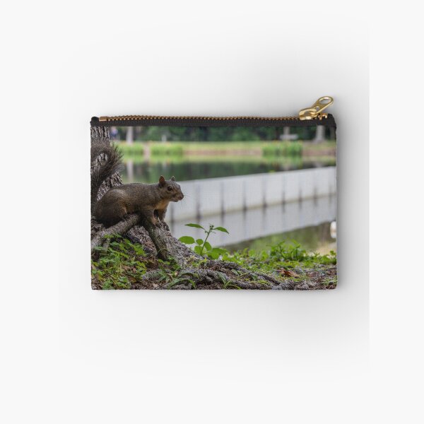 Item preview, Friendly Squirrel in Celebration, Florida 1 designed and sold by jrtwynam.