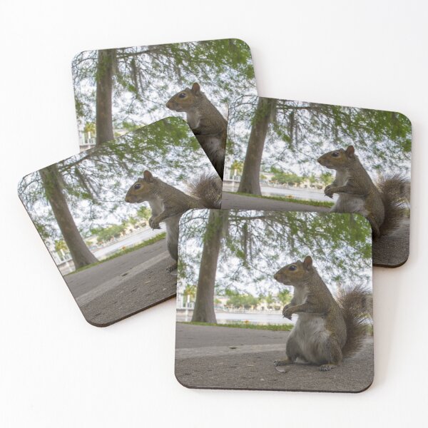 Item preview, Friendly Squirrel in Celebration, Florida 2 designed and sold by jrtwynam.