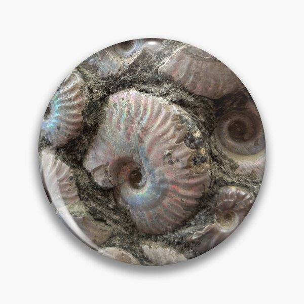 Item preview, Ammonite (up close) designed and sold by Circles of Wisdom.