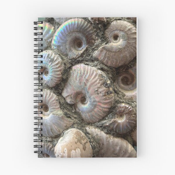 Item preview, Ammonite (up close) designed and sold by Circles of Wisdom.