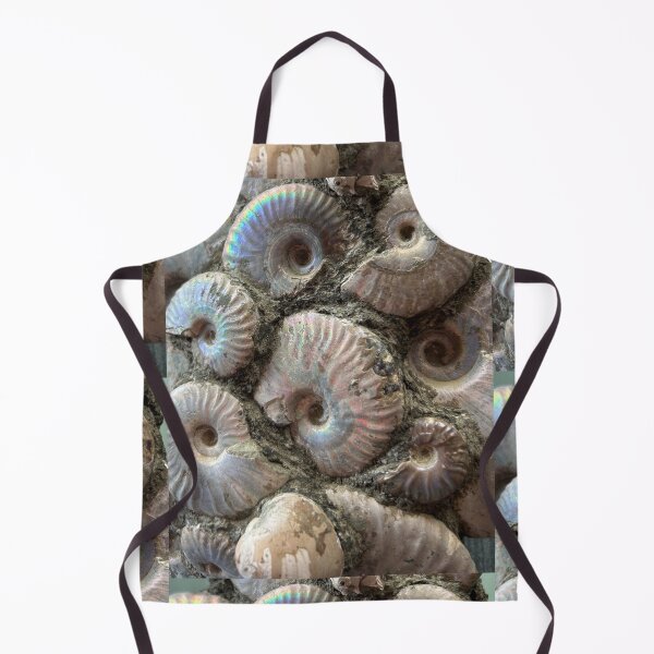 Item preview, Ammonite (up close) designed and sold by Circles of Wisdom.