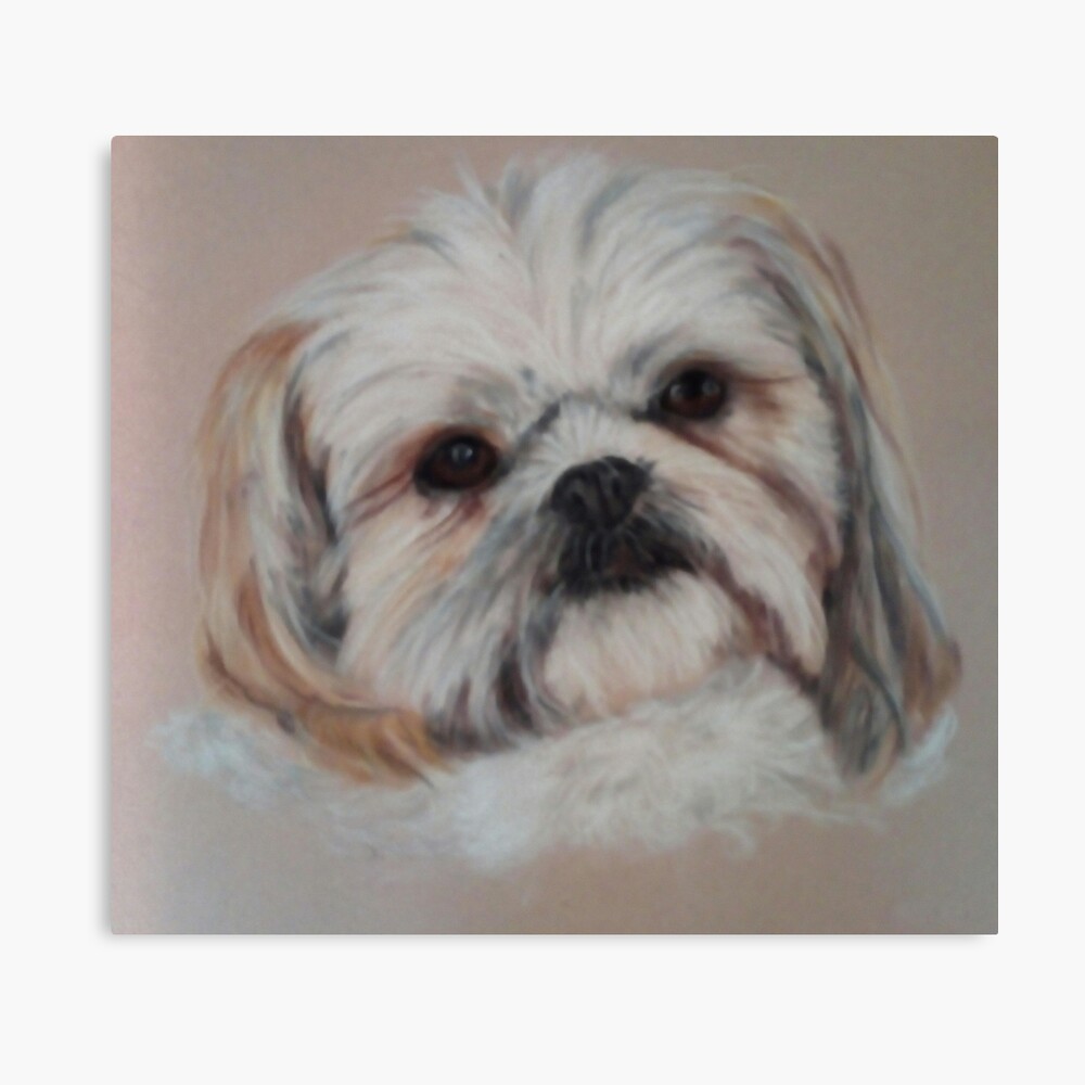 Teddy the Shi-Tzu Pillow