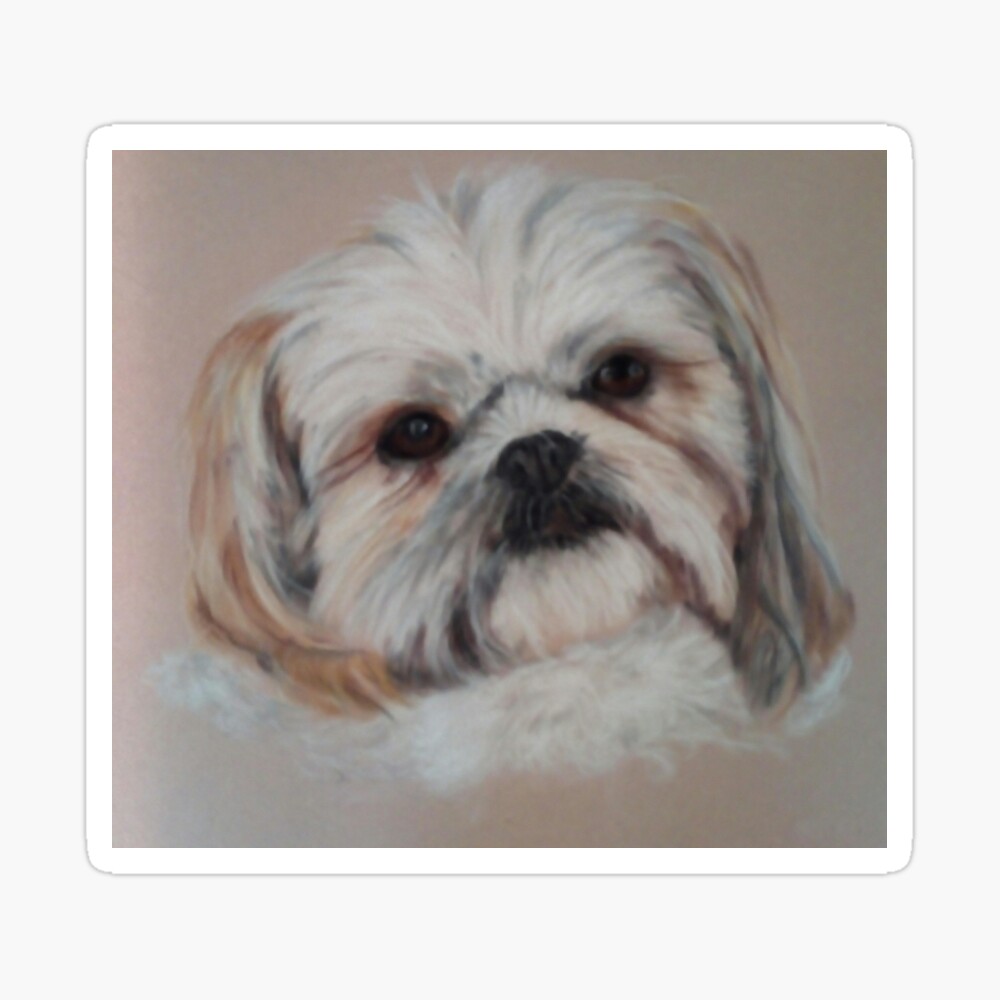 Teddy the Shi-Tzu Pillow