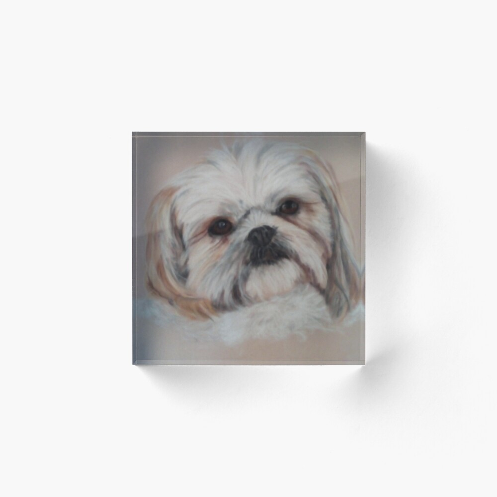 Shi-Tzu Pillow