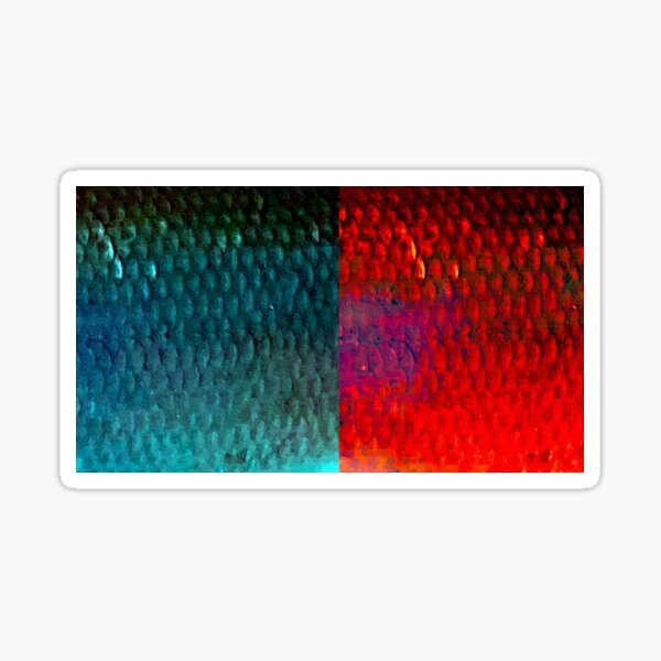 Vista previa del artículo con la obra «Escamas de pescado de color frío y caliente», diseñado y vendido por CJRPics.