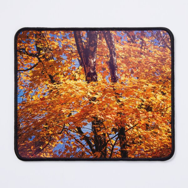 Item preview, Seasonal Glory designed and sold by Jim Love.