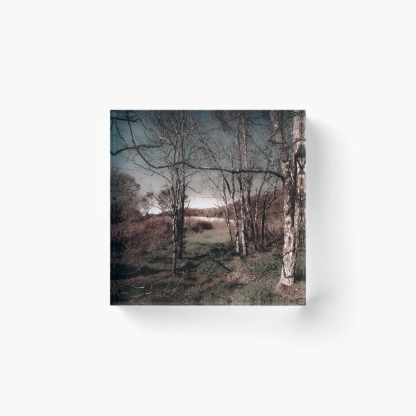 Item preview, Moody Passage designed and sold by Jim Love.