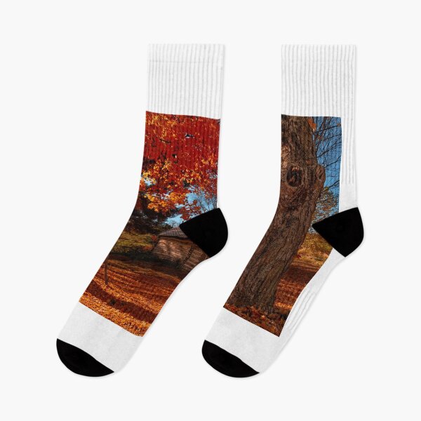 Item preview, Rustic Beauty Of Autumn  designed and sold by Jim Love.