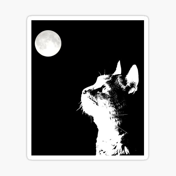 Item preview, Kitty staring at ball in the sky designed and sold by PhoeniXDreamer.