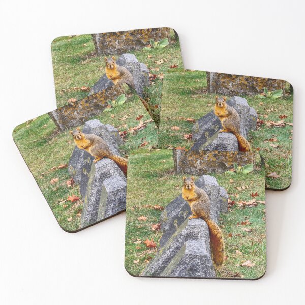 Item preview, Graveyard Squirrel designed and sold by bjtomiko.