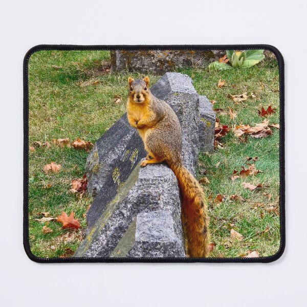 Item preview, Graveyard Squirrel designed and sold by bjtomiko.