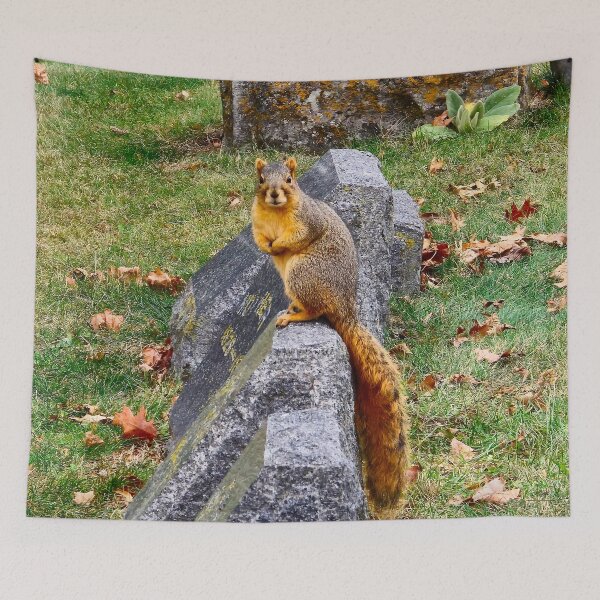 Item preview, Graveyard Squirrel designed and sold by bjtomiko.