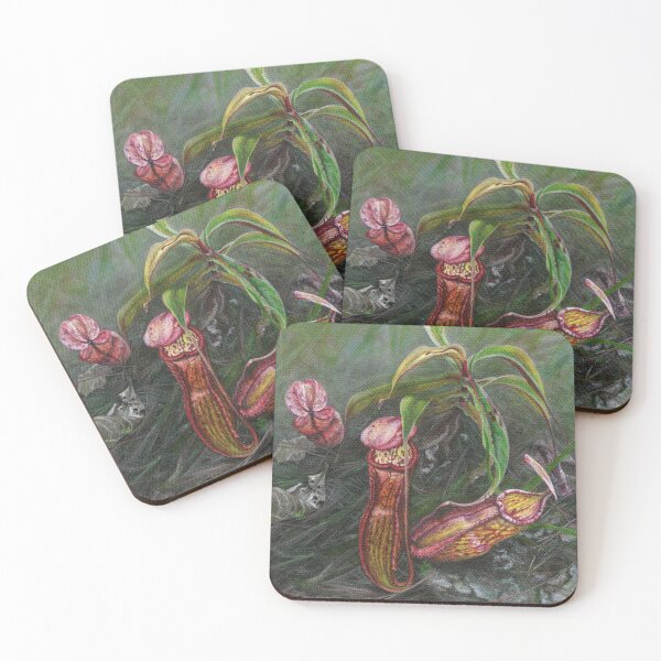 Item preview, Pitcher plant designed and sold by Anna Ratkevich.