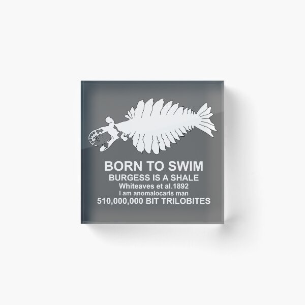 Item preview, Anomalocaris Born to swim V1 White designed and sold by ThePaleoDude.