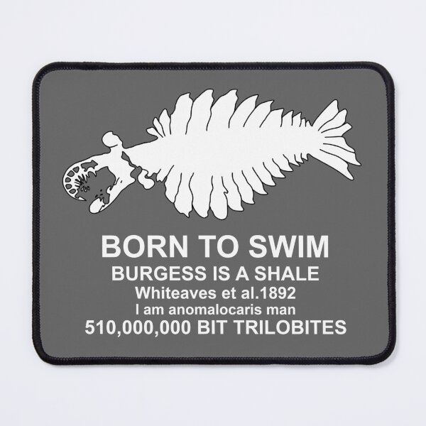 Item preview, Anomalocaris Born to swim V1 White designed and sold by ThePaleoDude.