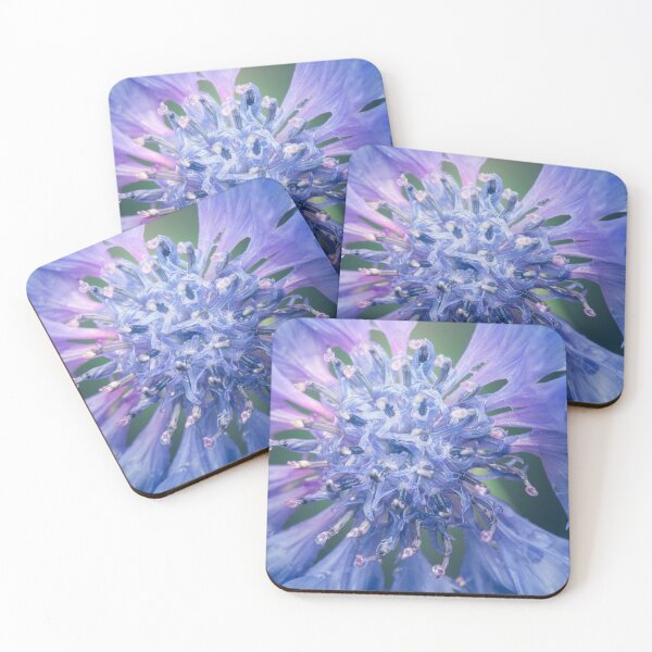 Item preview, Blue Knapweed Flower designed and sold by robdwildlife.