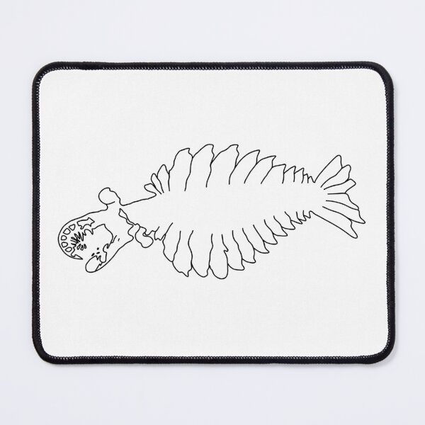 Item preview, Anomalocaris Fossil White 1 designed and sold by ThePaleoDude.