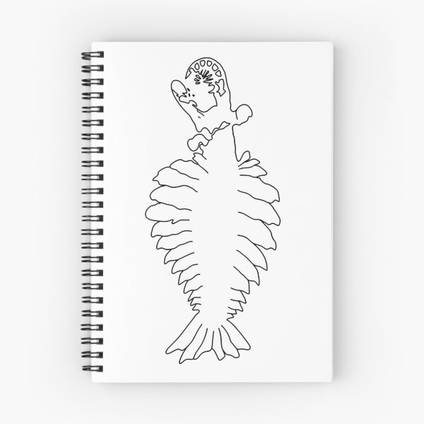 Item preview, Anomalocaris Fossil White 2 designed and sold by ThePaleoDude.