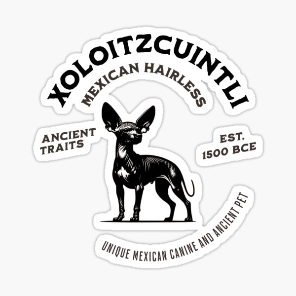 Vista previa del artículo con la obra «Diseño de perro mexicano sin pelo Xoloitzcuintli, rasgos antiguos estimados 1500 a. C., perro mexicano único, mascota antigua, diseño de camiseta Xolo», diseñado y vendido por Xolo Merch.