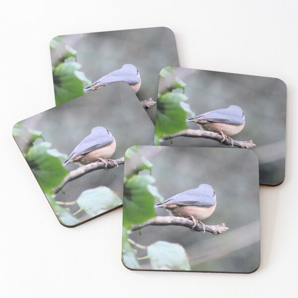 Item preview, nuthatch designed and sold by KathleenDawson.