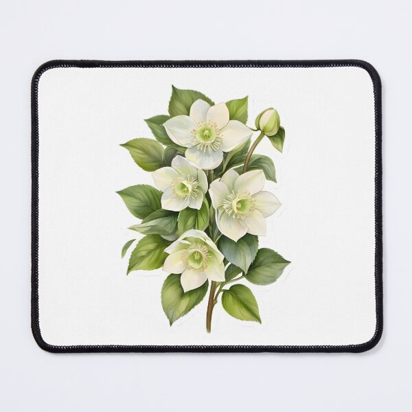 Item preview, White Hellebore (Christmas Rose) designed and sold by HOMETOWN86.