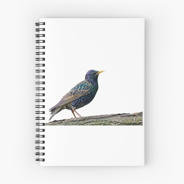 Item preview, Sparrow Bird-Great Sparrow Clothing/Sparrow Accessories for Sparrow lovers! designed and sold by Printoweb.