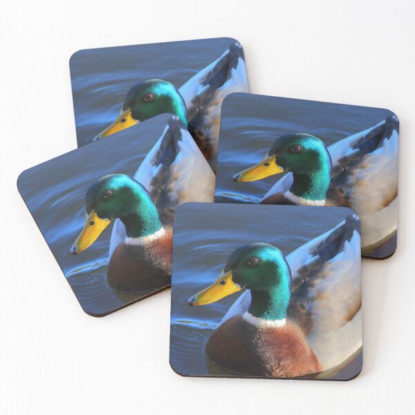 Item preview, Male Mallard designed and sold by Parks and X.