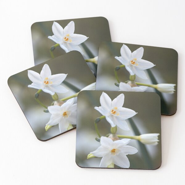 Item preview, Paperwhite Flowering Bulb designed and sold by Joy Watson - Natural Light Photography .