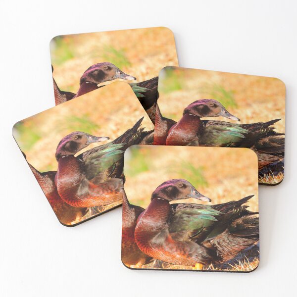 Item preview, Birding designed and sold by Parks and X.