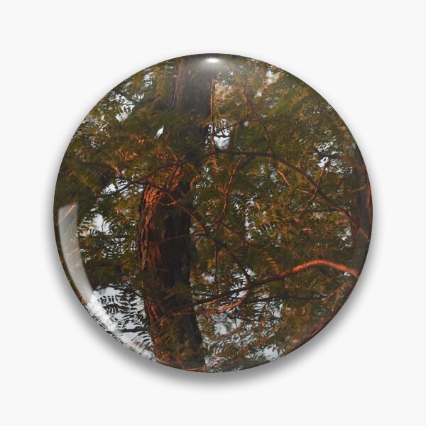 Item preview, Fall Trees in Sunlight designed and sold by bertsworks300.