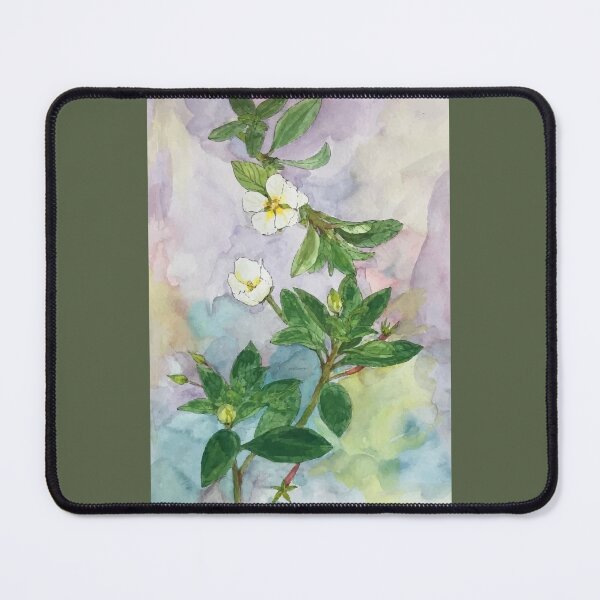 Item preview, Vietnam Botanical Plant Illustration 14 designed and sold by tuyetstudio.
