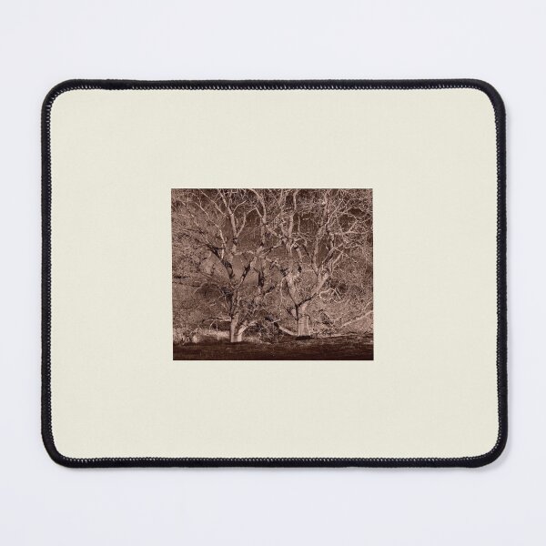 Item preview, Two Trees - Yorkshire Dales, UK designed and sold by Bobcat's Place.